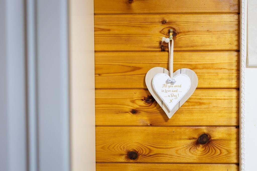 Rural Log Cabin In Snowdonia Near Coed Y Brenin By Seren Short Stays Ffestiniog Exteriér fotografie